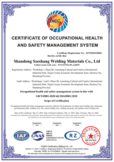 62725S0153R0S-45001-中文证书